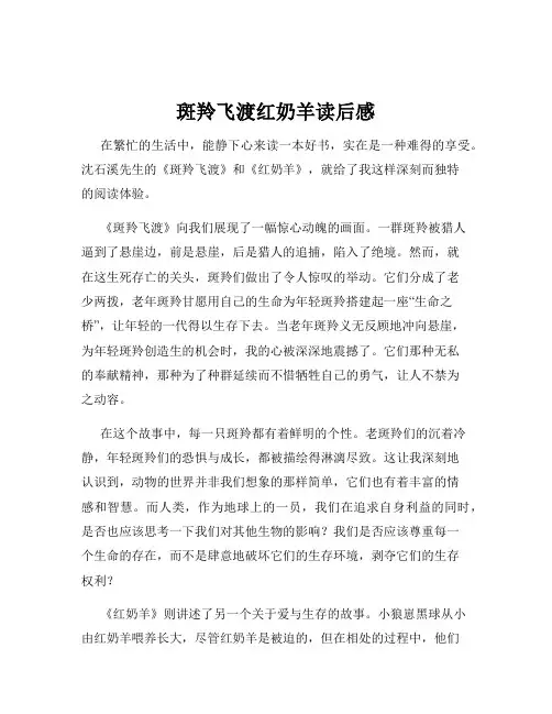 斑羚飞渡红奶羊读后感