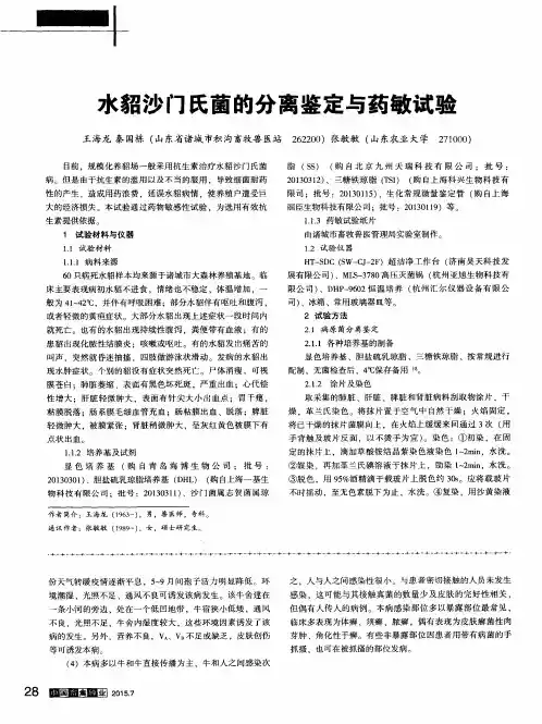 水貂沙门氏菌的分离鉴定与药敏试验