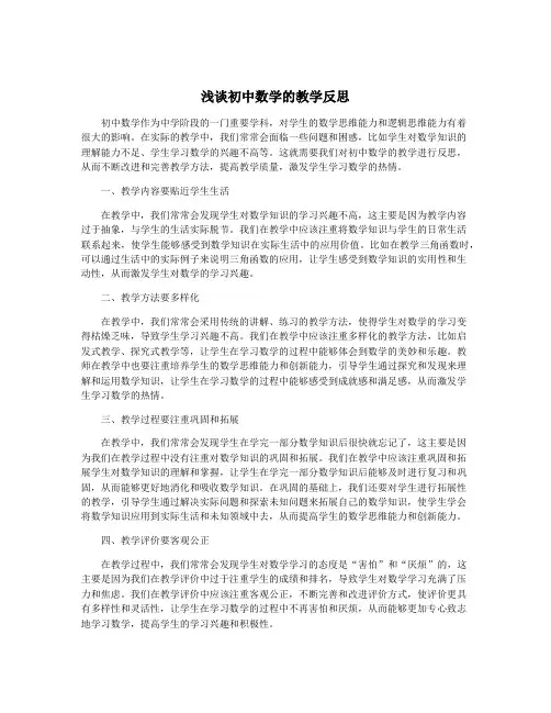 浅谈初中数学的教学反思