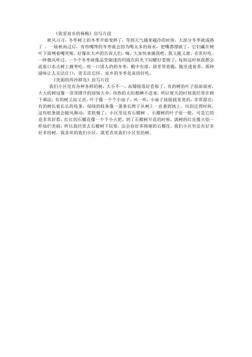 我爱故乡的杨梅
