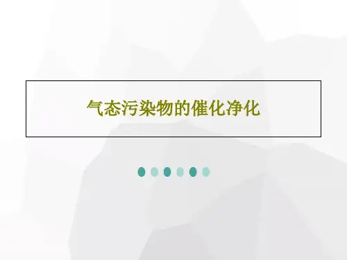 气态污染物的催化净化28页PPT