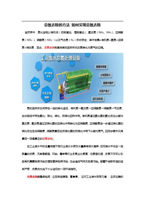 总氮去除的方法如何实现总氮去除