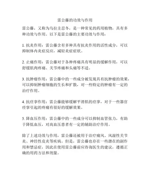 雷公藤的功效与作用