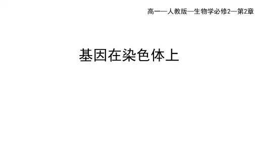 人教版高中生物必修第2册 第2章 第2节 基因在染色体上