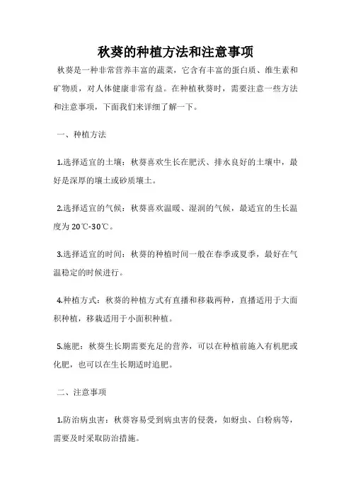 秋葵的种植方法和注意事项