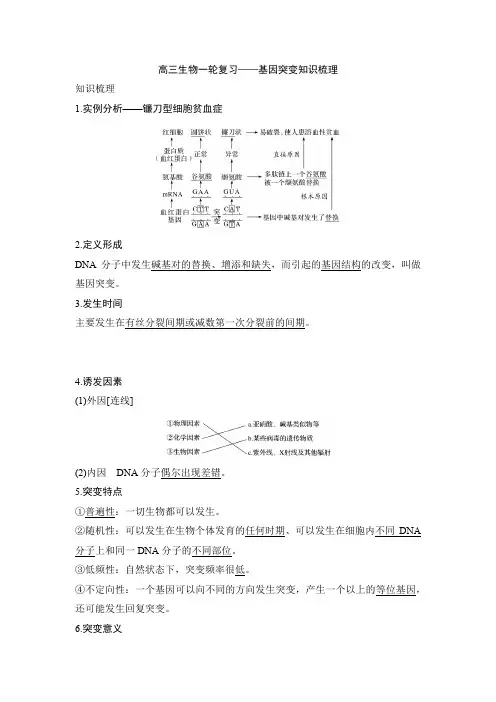 高三生物一轮复习——基因突变知识梳理