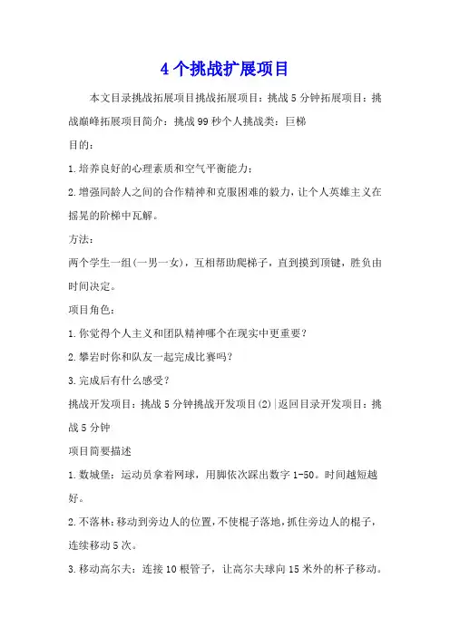 4个挑战扩展项目