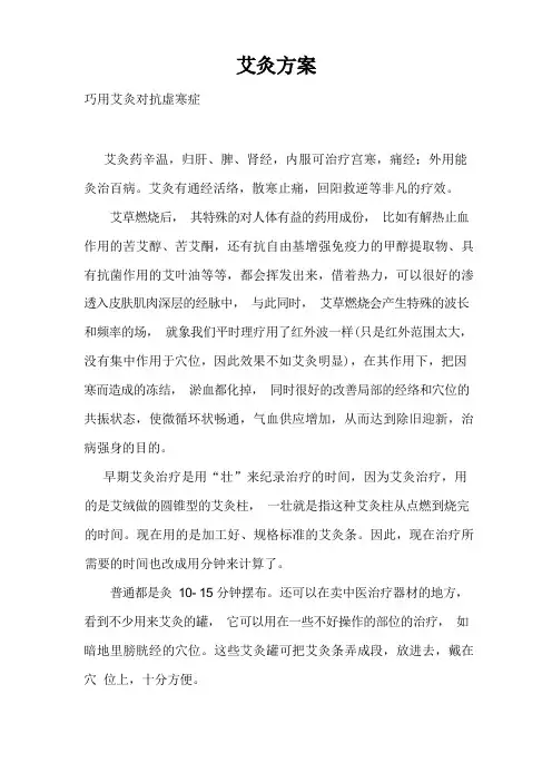 艾灸方案_精品文档