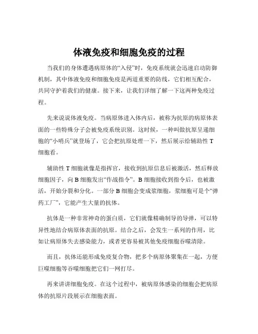 体液免疫和细胞免疫的过程
