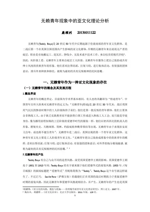 无赖青年现象中的亚文化理论分析