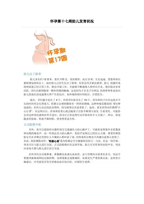 怀孕第十七周胎儿发育状况