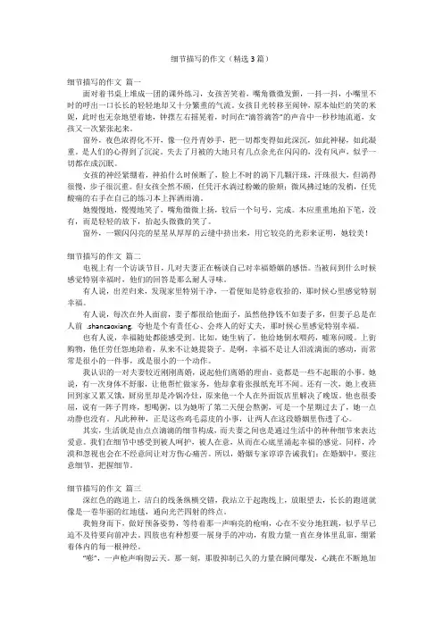细节描写的作文(精选3篇)