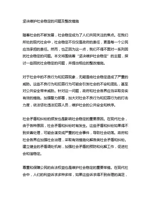 坚决维护社会稳定的问题及整改措施
