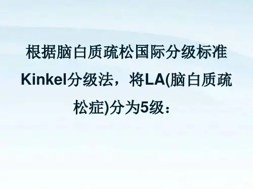 脑白质脱髓鞘-分级及相关研究