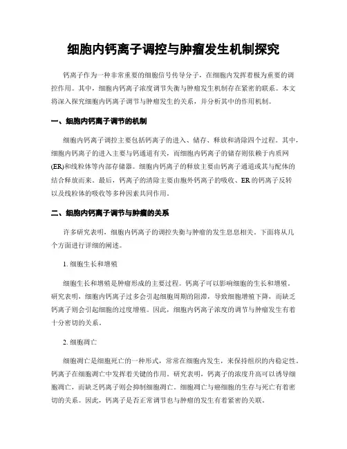 细胞内钙离子调控与肿瘤发生机制探究