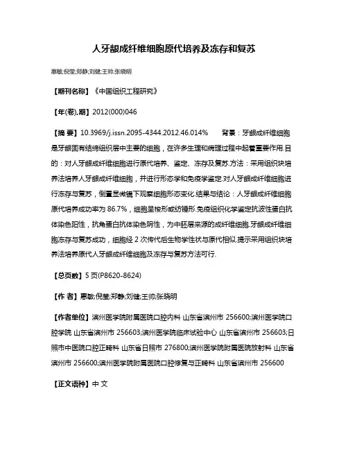 人牙龈成纤维细胞原代培养及冻存和复苏