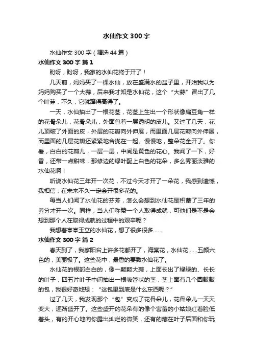 水仙作文300字（精选44篇）