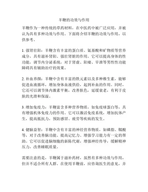 羊鞭的功效与作用