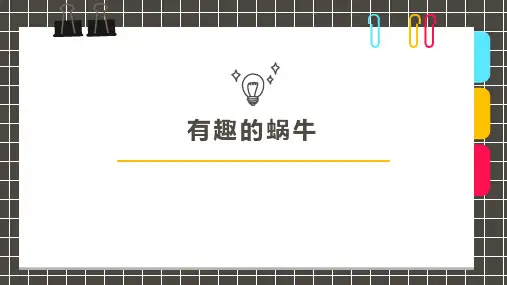 《有趣的蜗牛》3岁至4岁创意手工美术画PPT课件