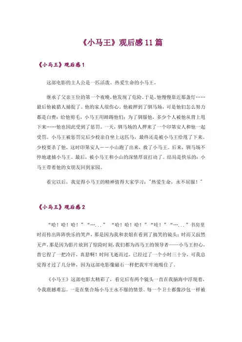 《小马王》观后感11篇