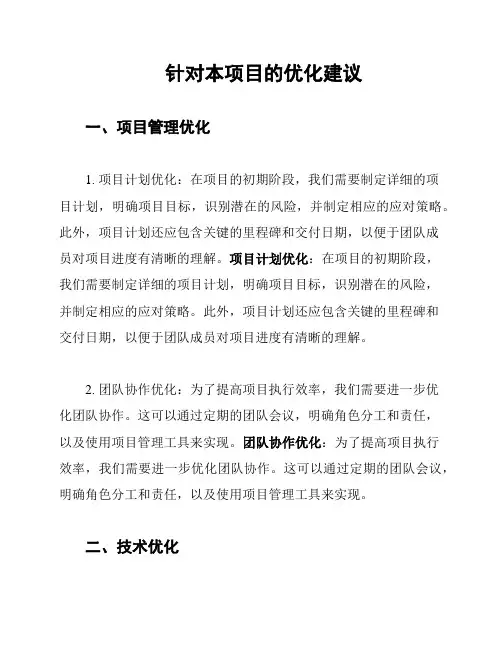 针对本项目的优化建议
