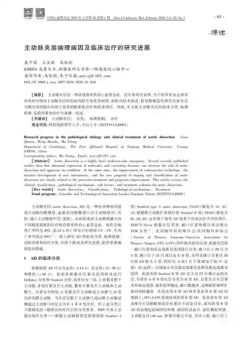 主动脉夹层病理病因及临床治疗的研究进展