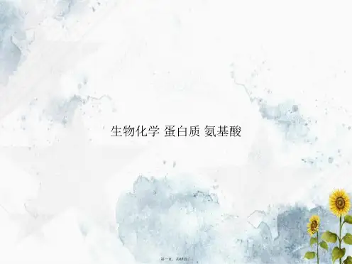 生物化学 蛋白质 氨基酸讲课文档
