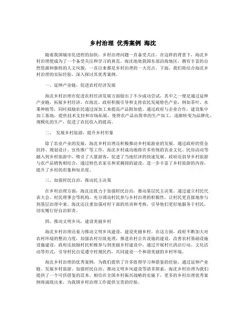 乡村治理 优秀案例 海沈