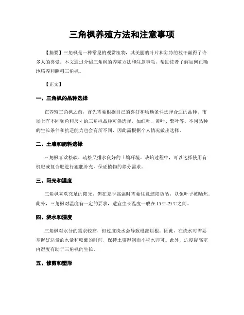 三角枫养殖方法和注意事项
