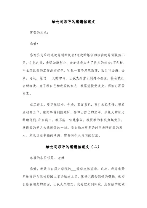 给公司领导的感谢信范文（三篇）