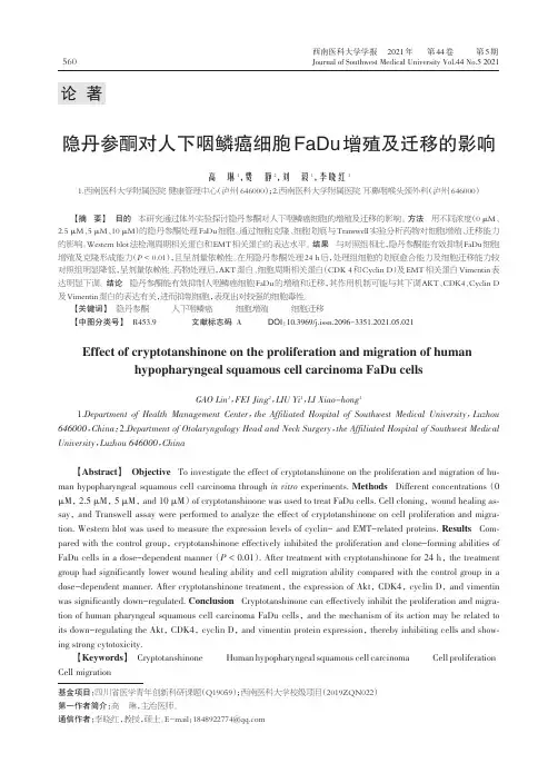 隐丹参酮对人下咽鳞癌细胞FaDu增殖及迁移的影响