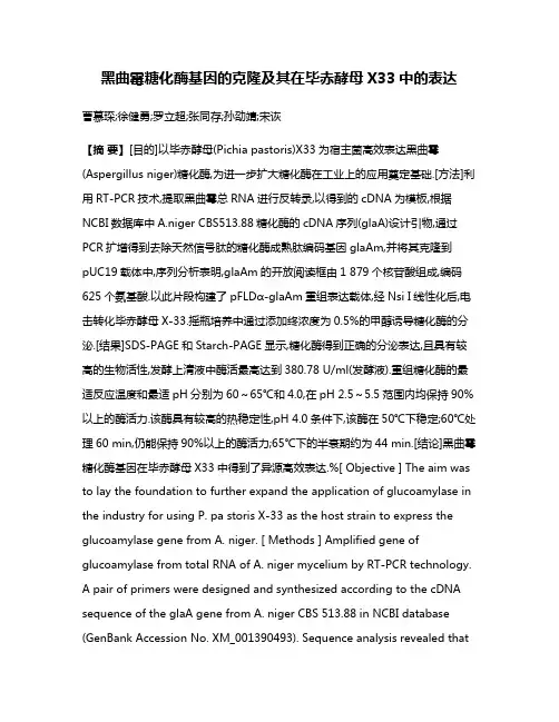 黑曲霉糖化酶基因的克隆及其在毕赤酵母X33中的表达