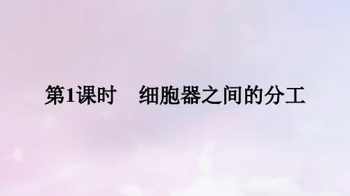 高中生物第3章细胞的基本结构第2节细胞器之间的分工合作第1课时细胞器之间的分工课件新人教版必修1