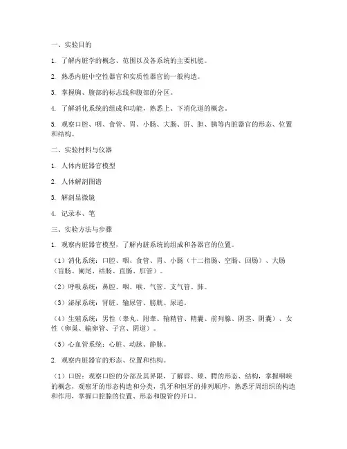 内脏学系统实验报告