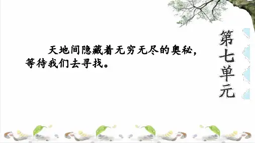 我们奇妙的世界ppt课件