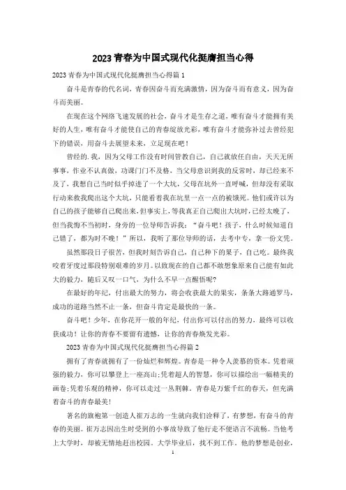 2023青春为中国式现代化挺膺担当心得