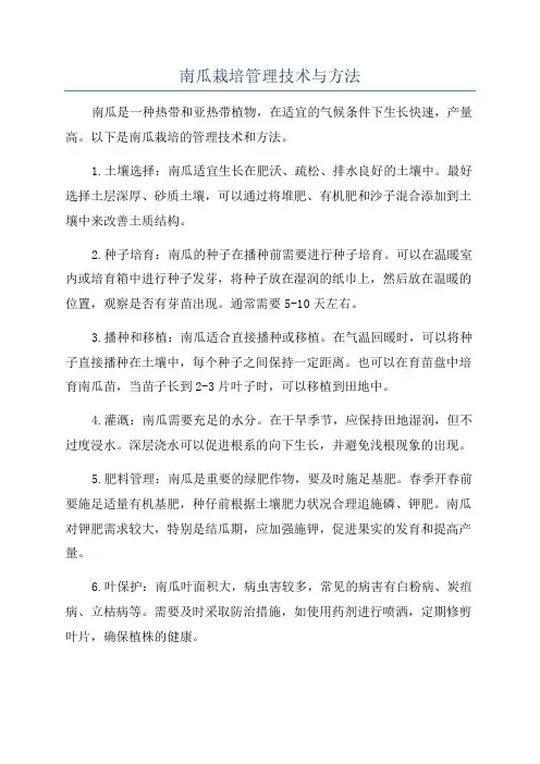 南瓜栽培管理技术与方法