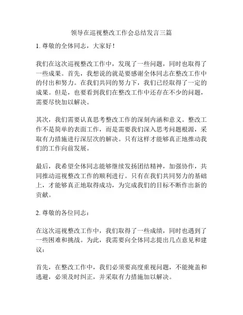领导在巡视整改工作会总结发言三篇