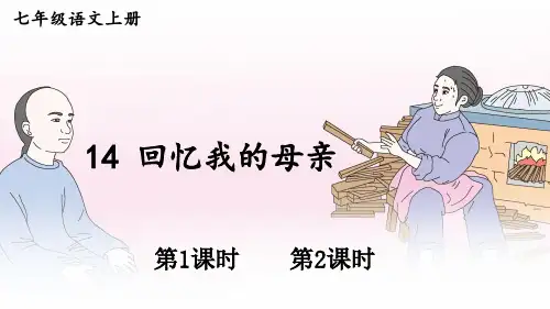 初中语文新人教部编版七年级上册第14课《回忆我的母亲》教学课件(2024秋)