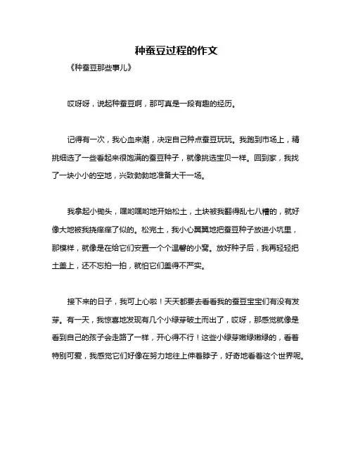 种蚕豆过程的作文