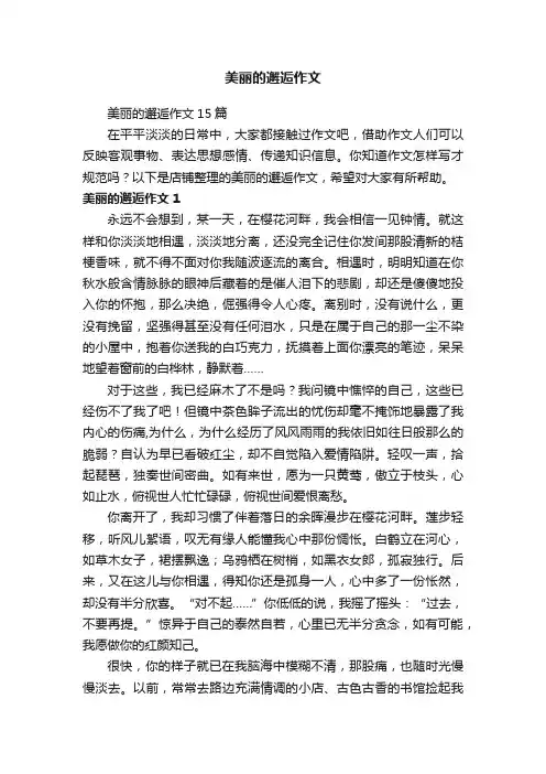 美丽的邂逅作文