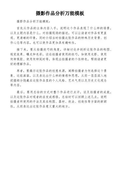 摄影作品分析万能模板