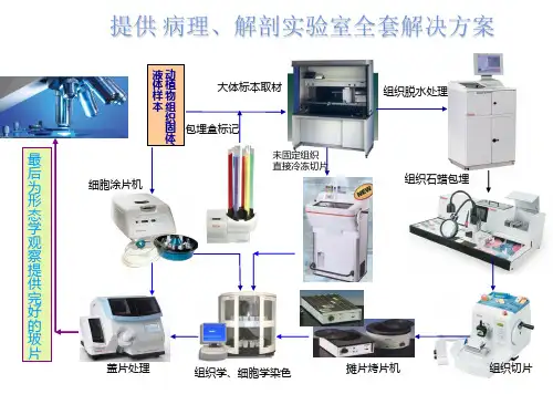 病理实验工作流程中需要的设备