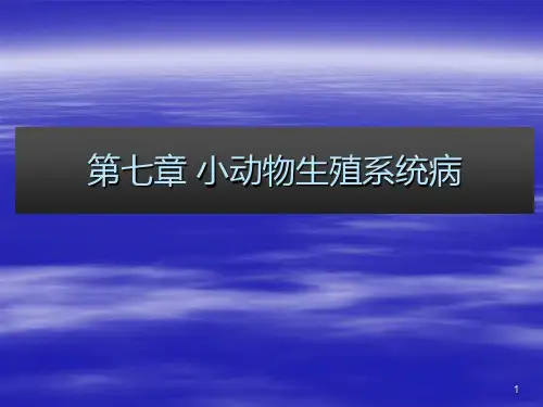 第七章  小动物的普通病(生殖系统疾病)PPT课件