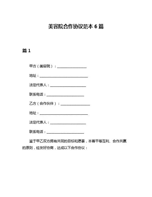 美容院合作协议范本6篇