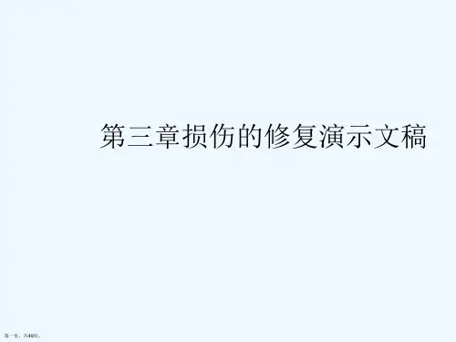 第三章损伤的修复演示文稿