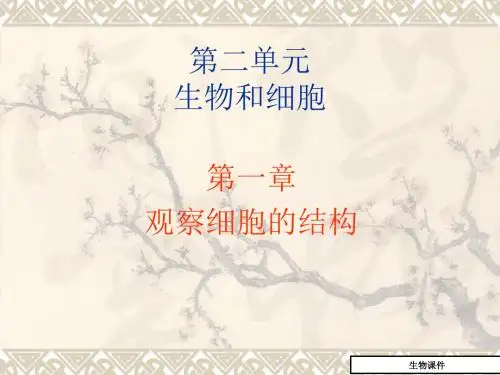 初中七年级(初一)生物 第一章观察细胞的结构-课件