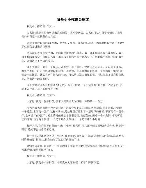 我是小小推销员范文