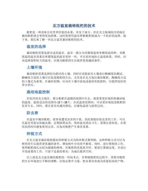 北方温室栽培枇杷的技术
