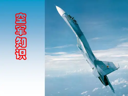 兵种介绍之空军 军事知识教学课件